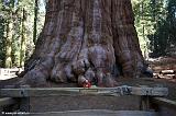 2008 USA Sequoia